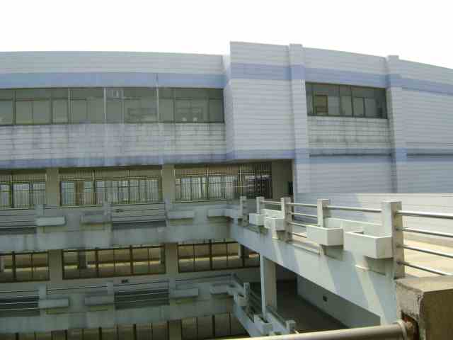 2025澳门原料免费大全